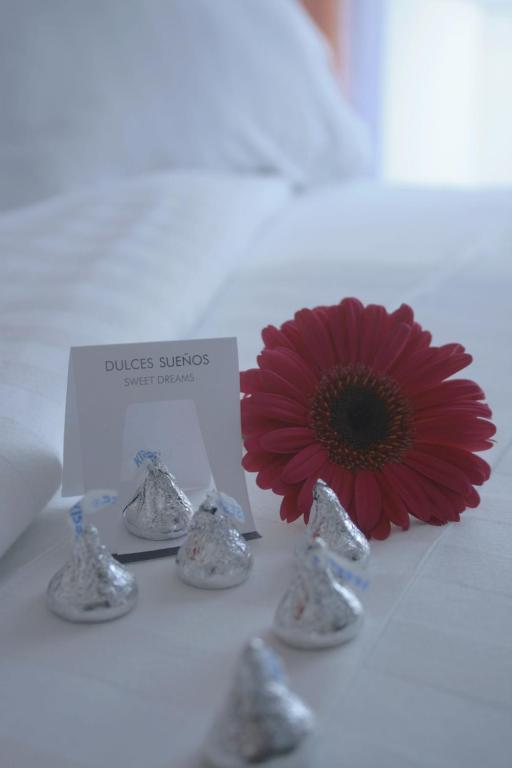 Hotel Lugano Suites Bogotá Zewnętrze zdjęcie